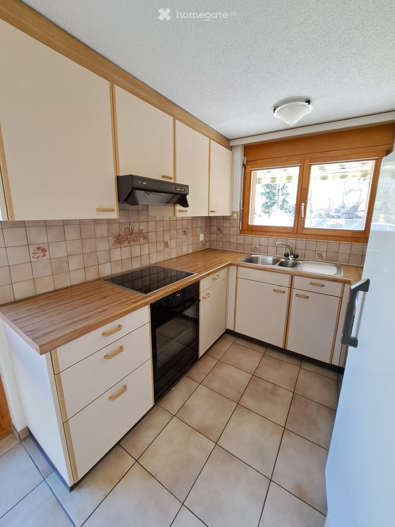 Wohnungsvermietung (3)