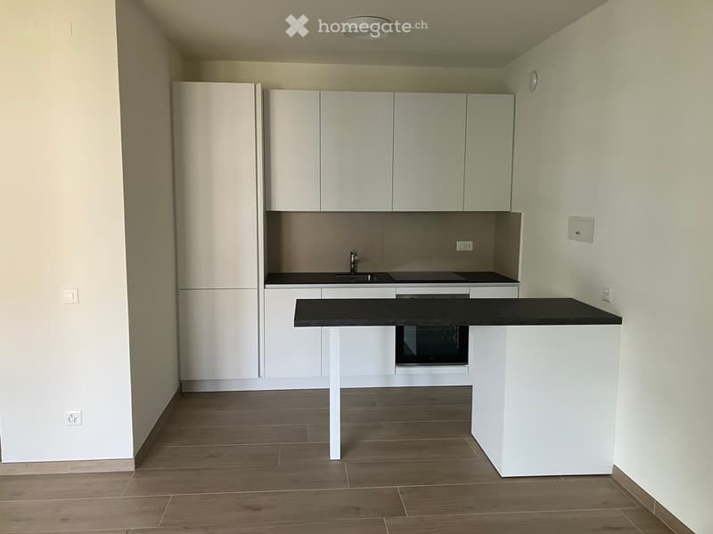 Affittasi monolocale completamente ristrutturato  ca. 40 m² (2)