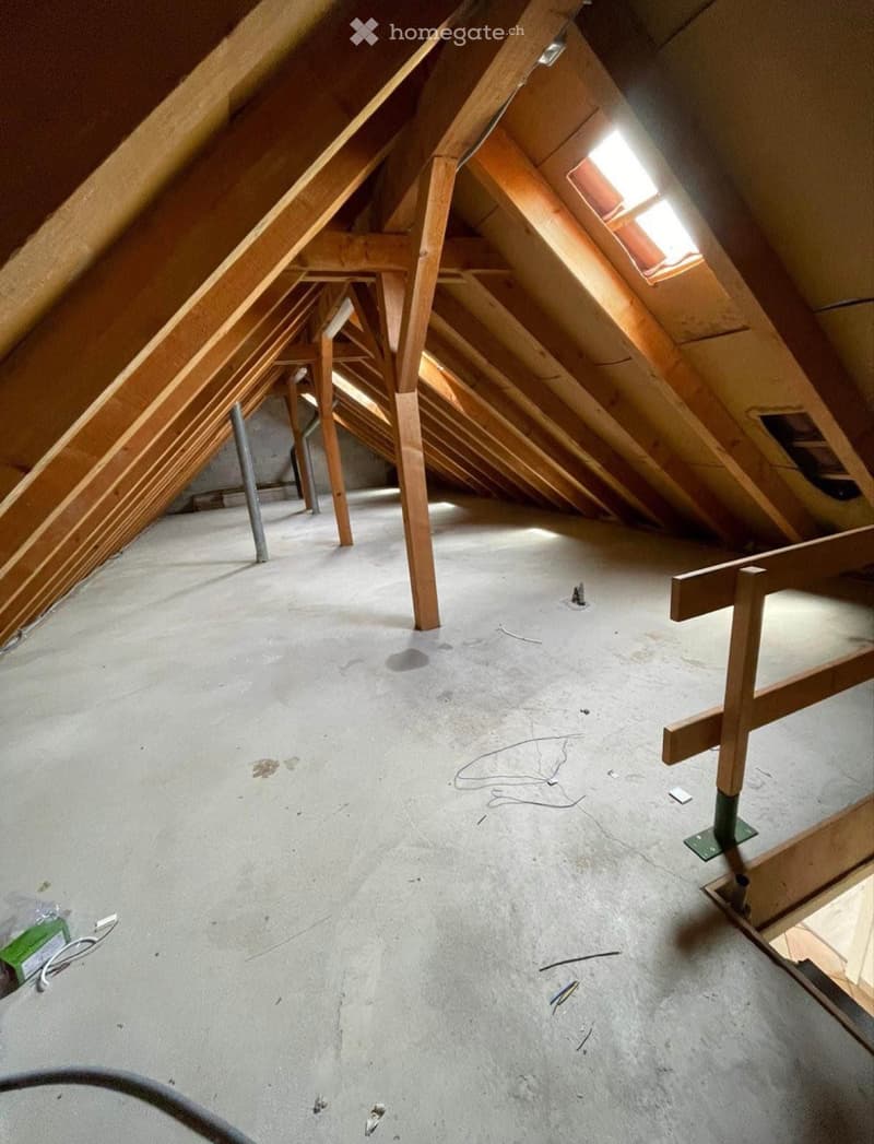 Magnifique 5,5 pièces de 170m2 + 2 places de parc. (5)