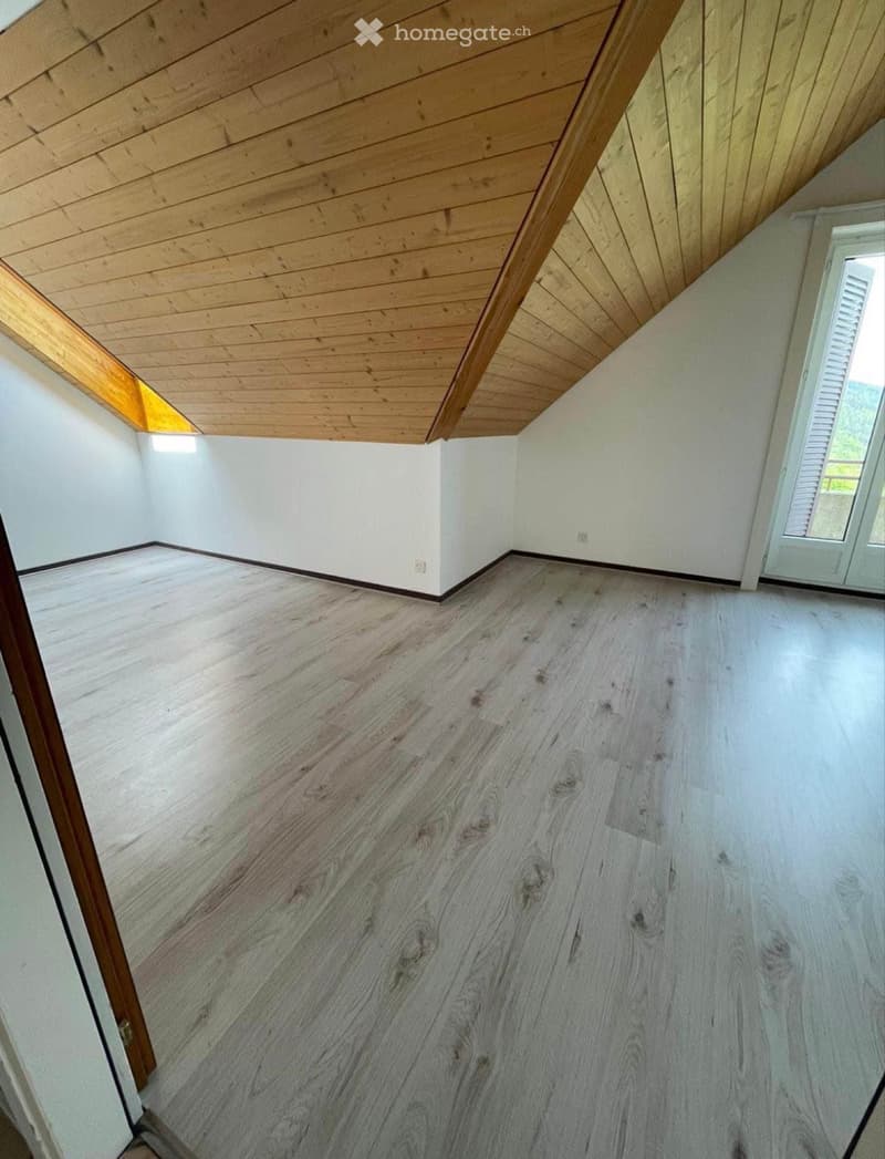 Magnifique 5,5 pièces de 170m2 + 2 places de parc. (4)