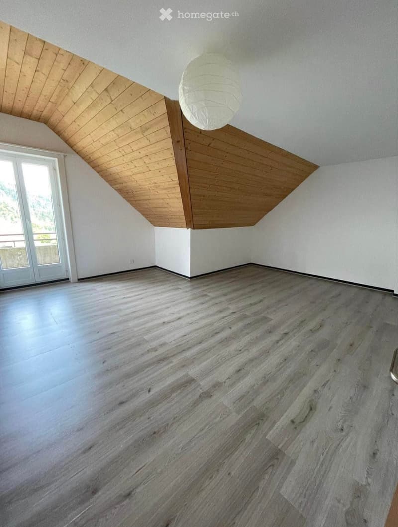 Magnifique 5,5 pièces de 170m2 + 2 places de parc. (3)