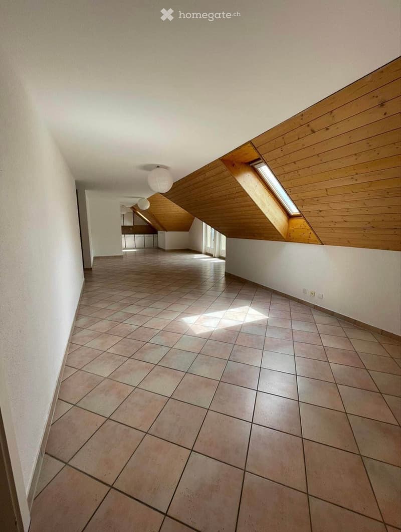 Magnifique 5,5 pièces de 170m2 + 2 places de parc. (2)
