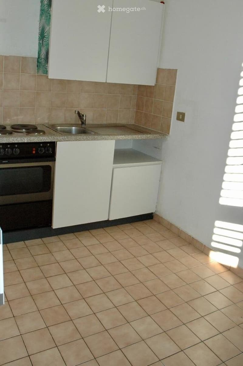 Lugano, vicinanze USI, privato affitta monolocale arredato (4)