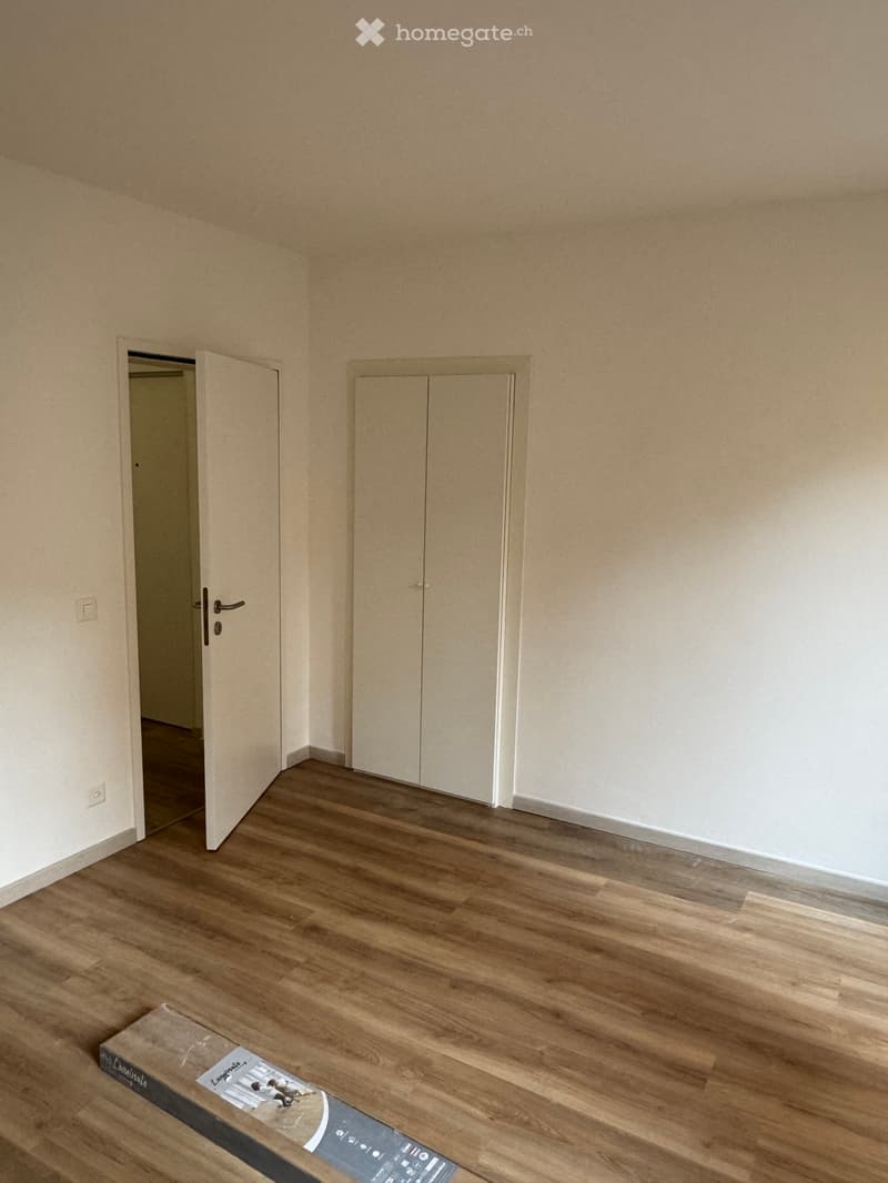Affitto 2,5 locali PT Molino Nuovo (2)