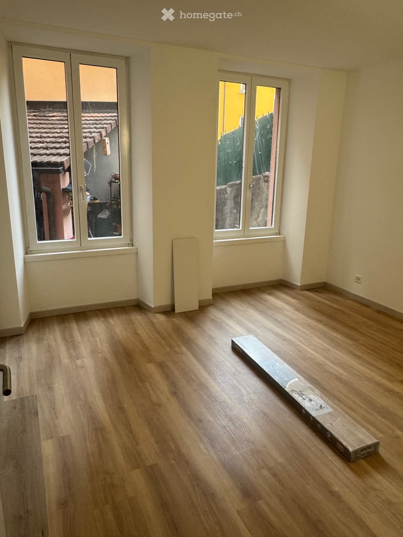 Affitto 2,5 locali PT Molino Nuovo (3)