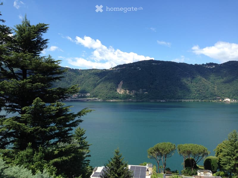 Stupendo bilocale vista lago giardino privato piscina condom (5)