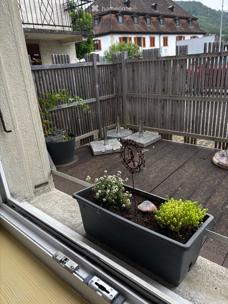 A louer spacieux et lumineux appart. de 3 pièces (5)