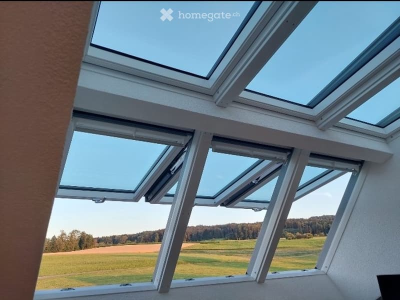 9Zimmer Haus (4)