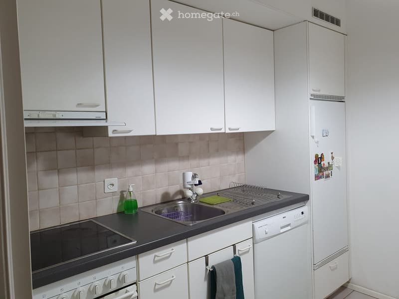 Appartamento 2,5 Ponte Tresa con vista aperta e privacy (3)