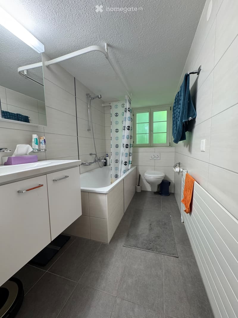 Charmante 3-Zimmer-Wohnung in Meyriez (2)