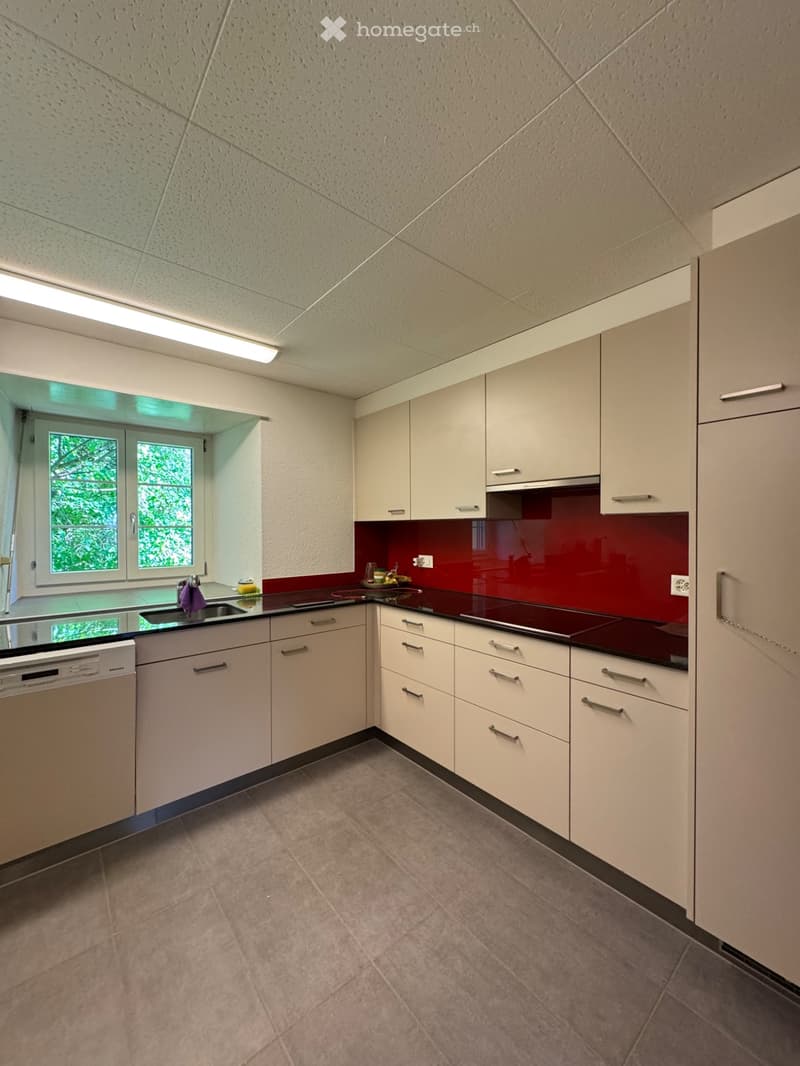 Charmante 3-Zimmer-Wohnung in Meyriez (3)