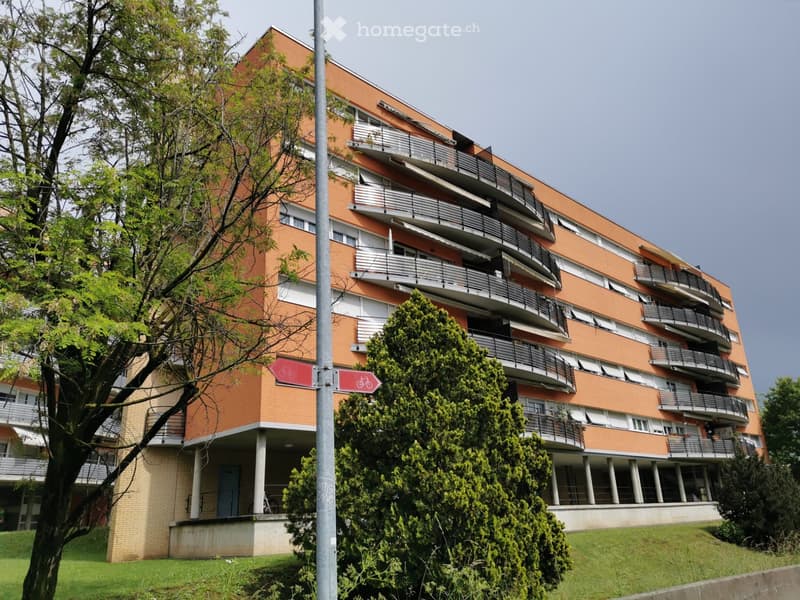 Balerna, vendo a rate 3.5 locali (5)