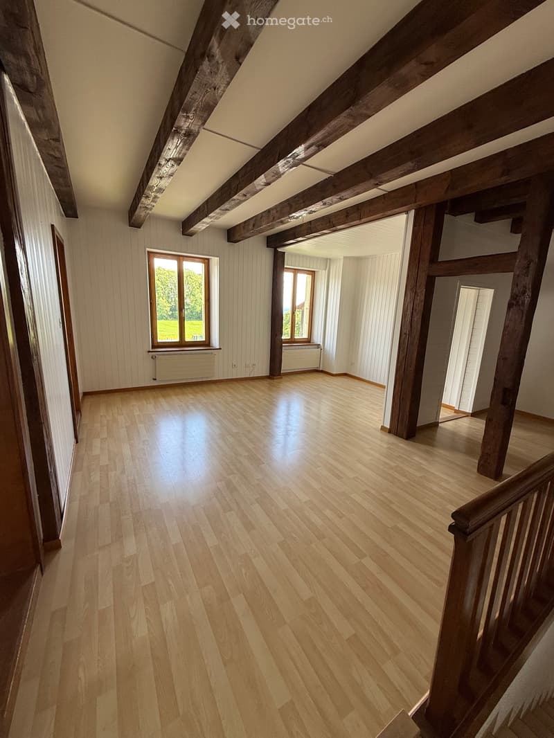 Joli 3.5p en duplex à louer de suite (5)