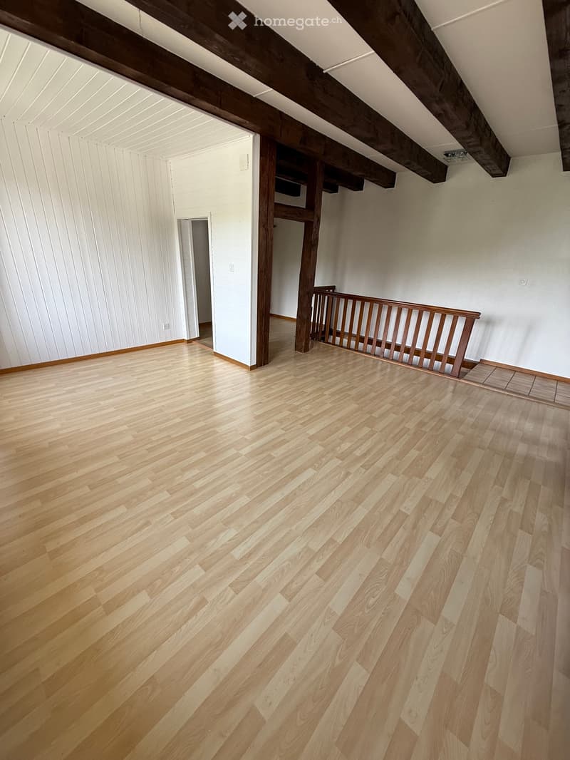Joli 3.5p en duplex à louer de suite (4)