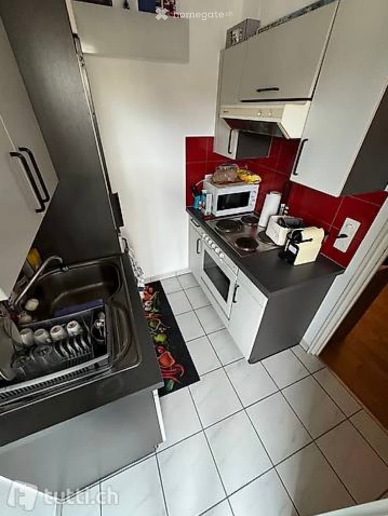 Cerco urgentemente subentrante per monolocale (3)