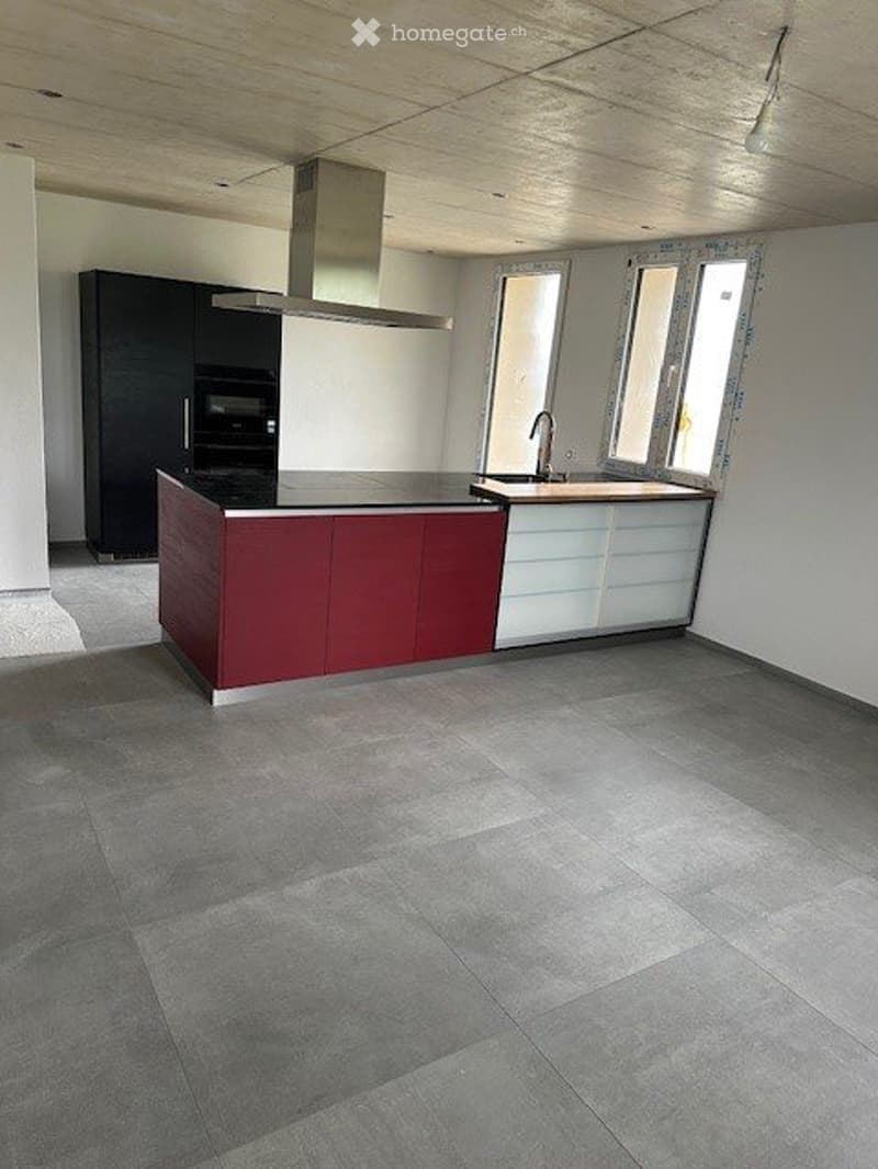 Neues Einfamilienhaus mit ganz viel Platz an Alleinlage (3)