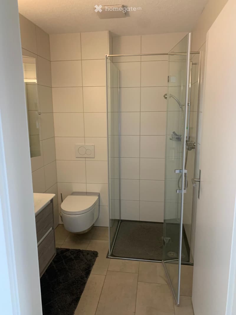 Grosszügige 2.5-Zimmerwohnung (2)