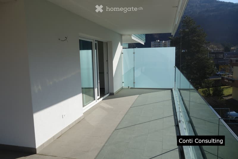 Splendido appartamento a Bellinzona (3)