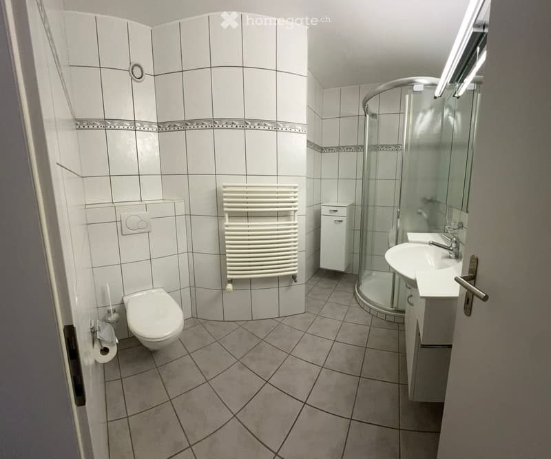 Schöne renovierte 4 Zimmer Wohnung in Naters zu vermieten (3)