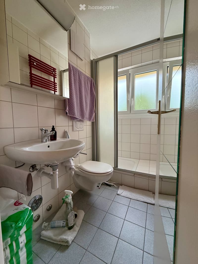 Helle und moderne 1.5-Zi-Wohnung an der Brunnmattstrasse 43 (2)