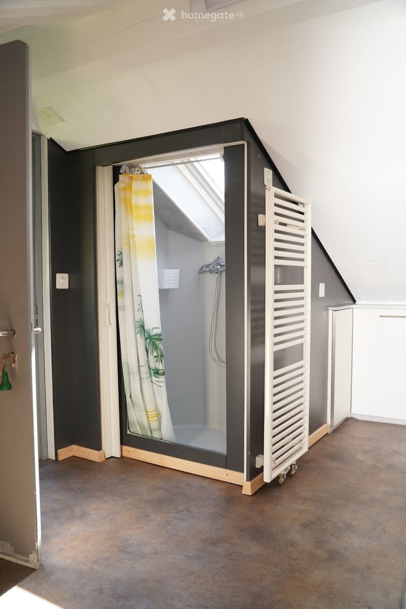 1 Zimmer Dachwohnung möbliert (4)