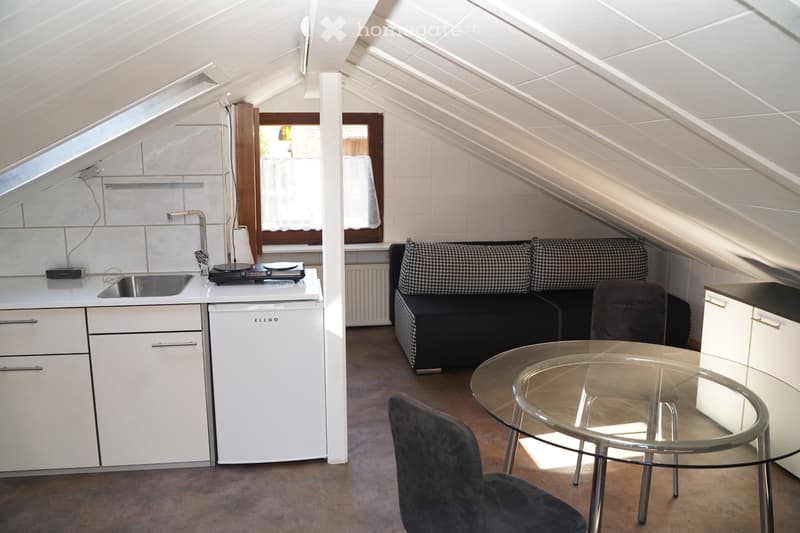 1 Zimmer Dachwohnung möbliert (1)