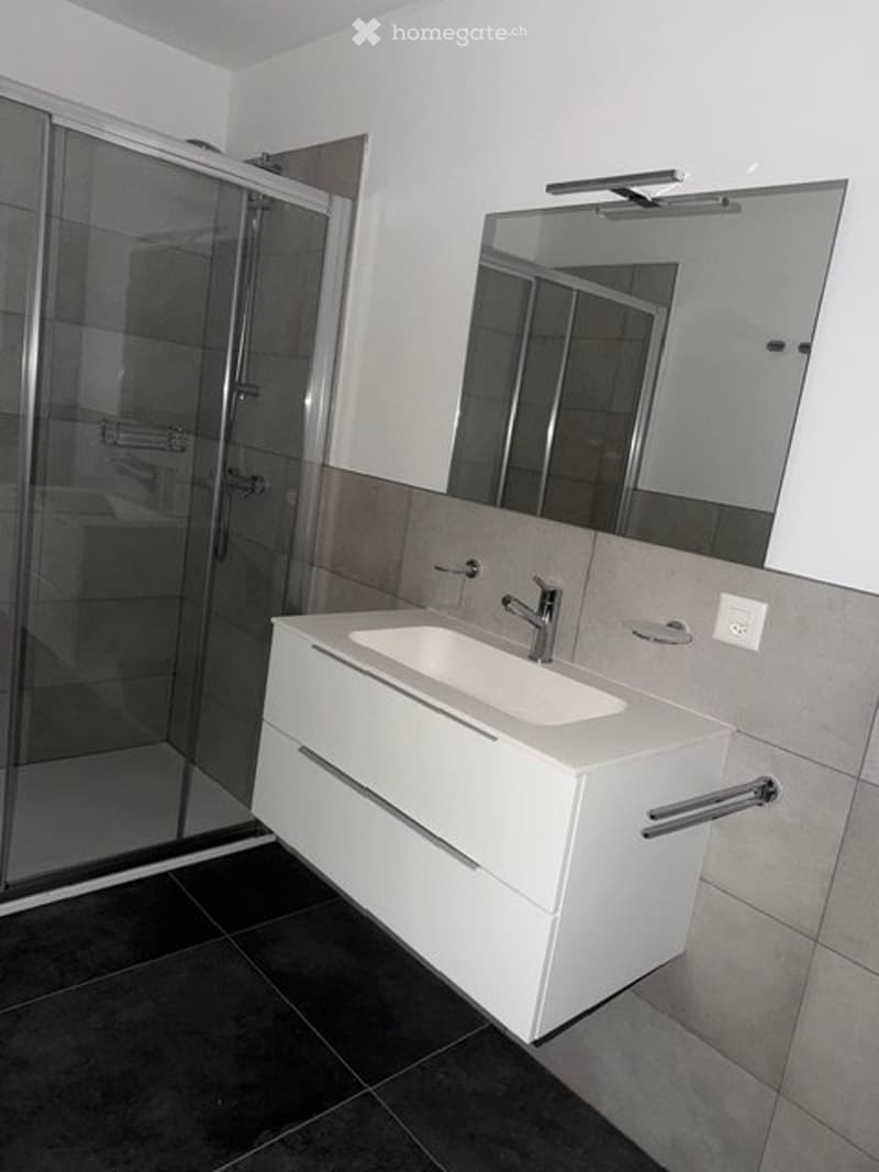 Affittasi appartamento nuovo 2.5 locali con balcone (7)