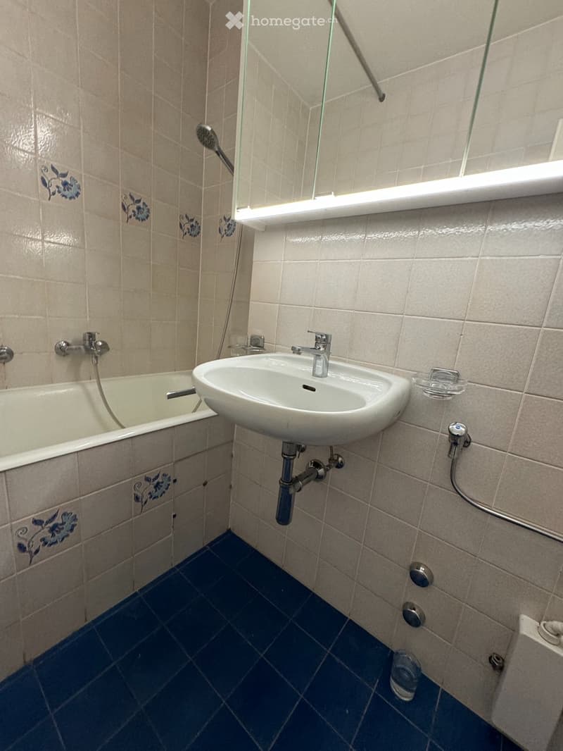 Duplex 5.5p  La Croix-de-Rozon  Vue Salève  2870 CHF (4)