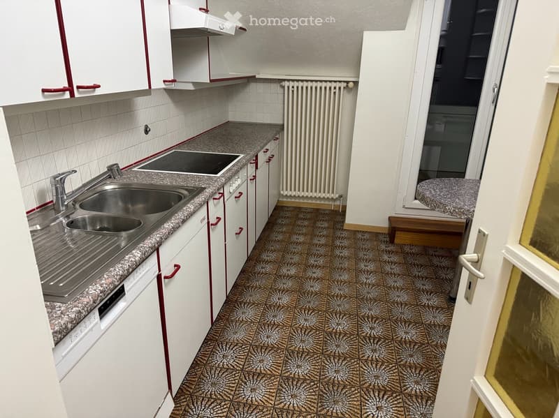 Duplex 5.5p  La Croix-de-Rozon  Vue Salève  2870 CHF (3)