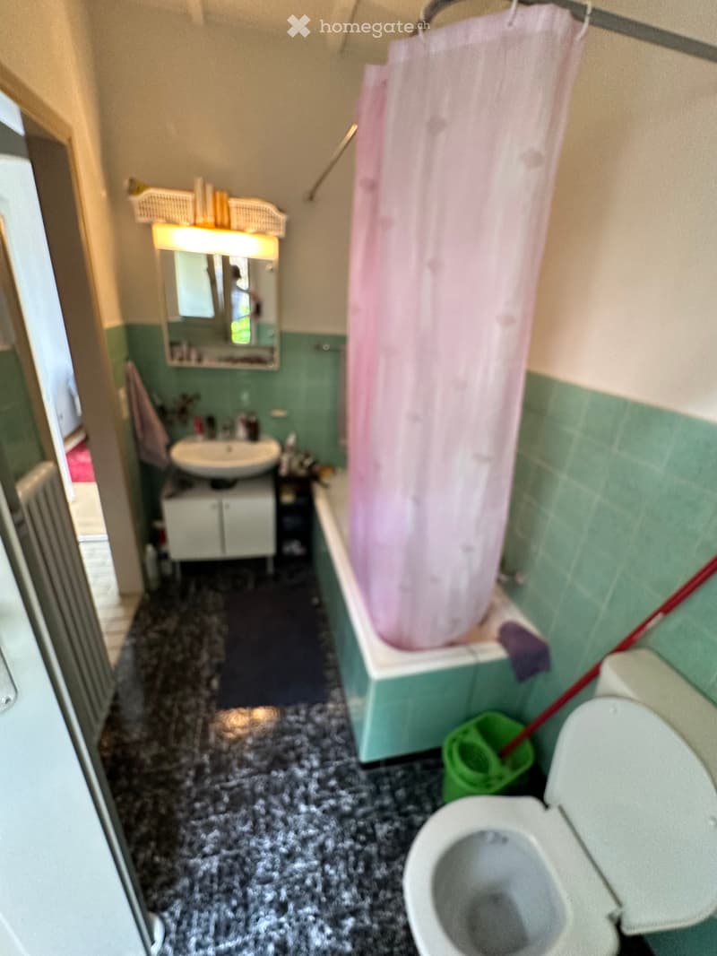 Appartamento bilocale con vista lago (5)