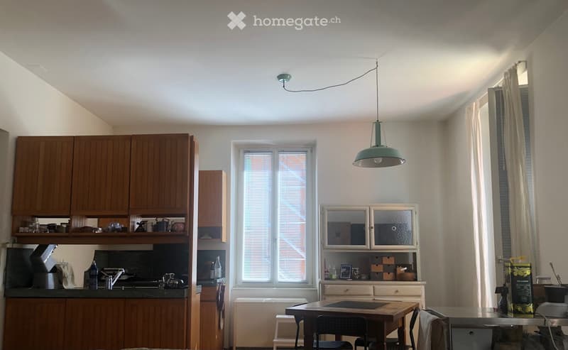 Appartamento 3 locali a Lugano zona Molino Nuovo (2)