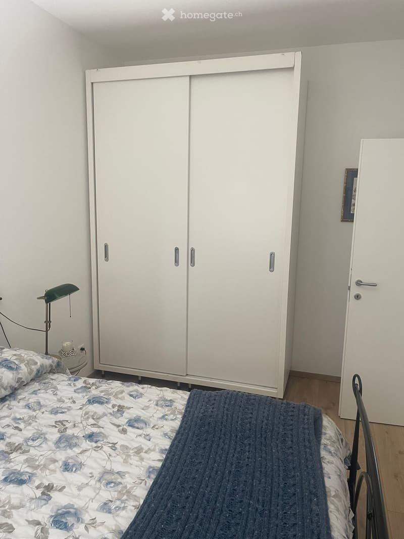Subentrante 2.5 Chiasso (4)