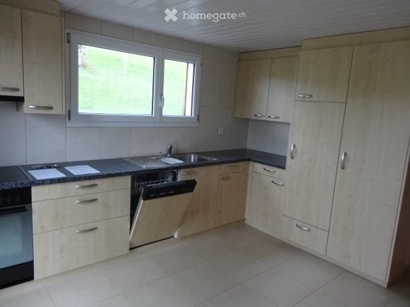 6.5 Zimmer-Wohnung mit Gartensitzplatz, nähe Zentrum, Natur (2)