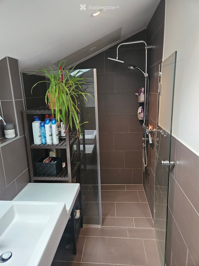 Großzügiges Einfamilienhaus mit Anbau und Platz für Ideen (4)