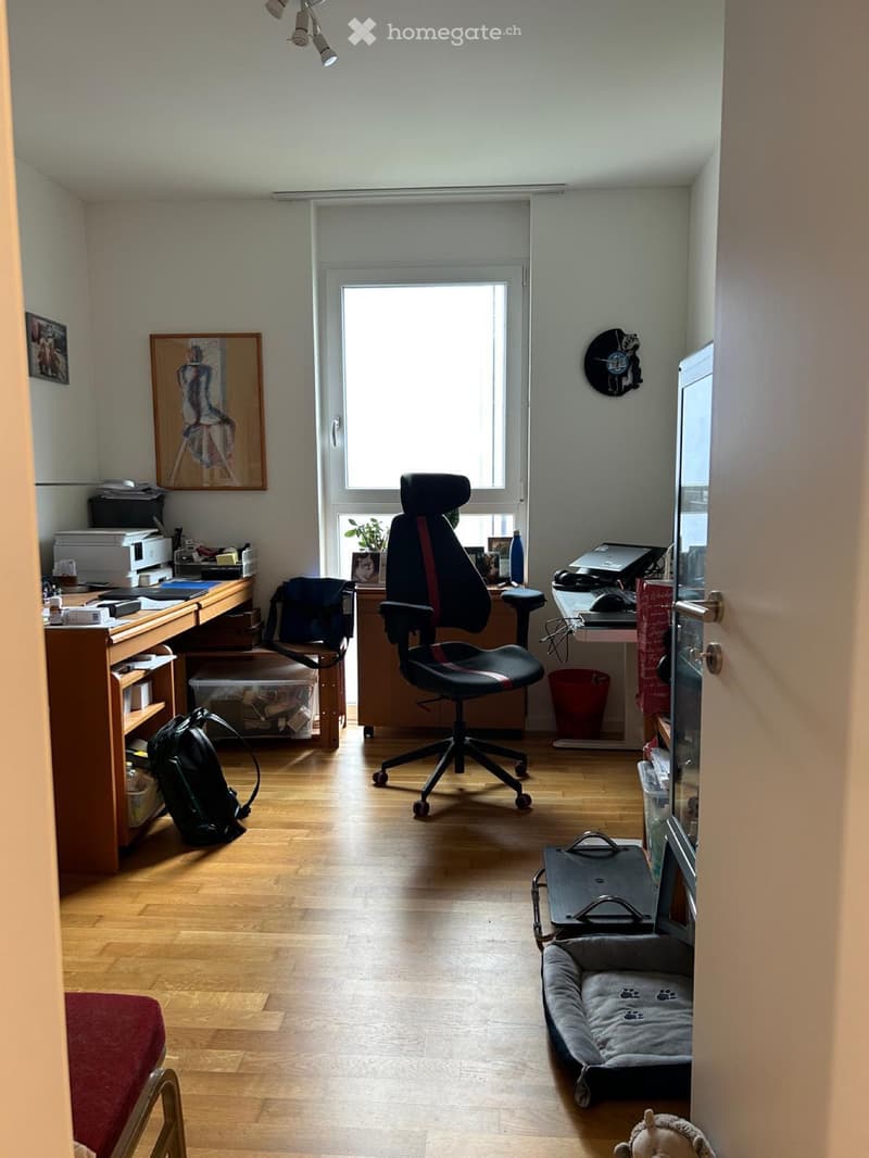 Cercasi subentrante per appartamento a Bellinzona (3)