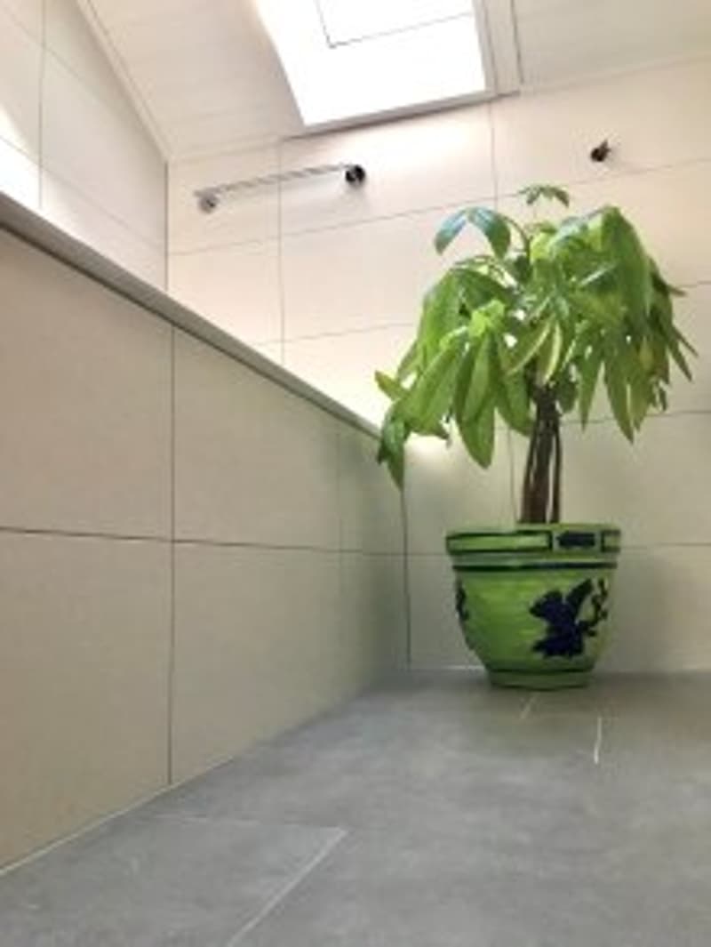 ..gemütliches Wohnjuwel in der Bieler Altstadt (5)