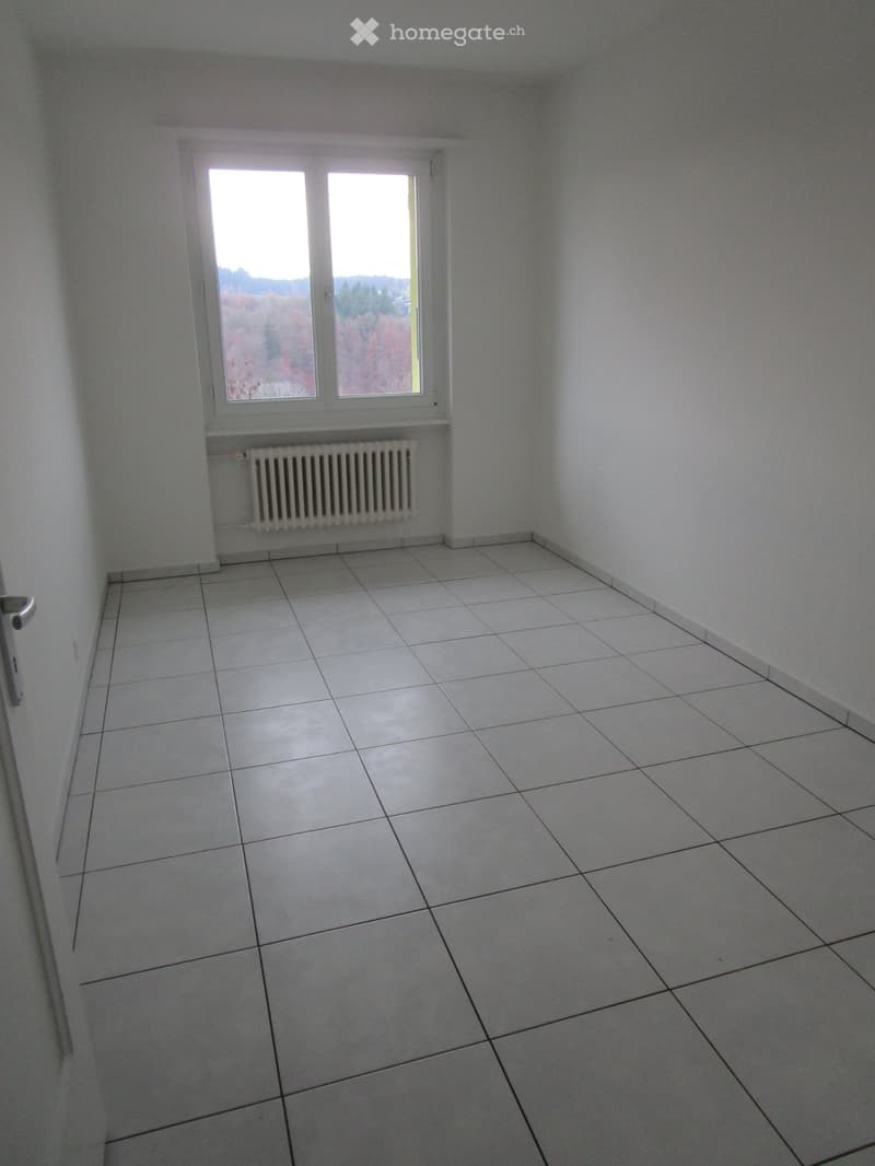 sonnige 3 Zimmer Wohnng zu vermieten (5)