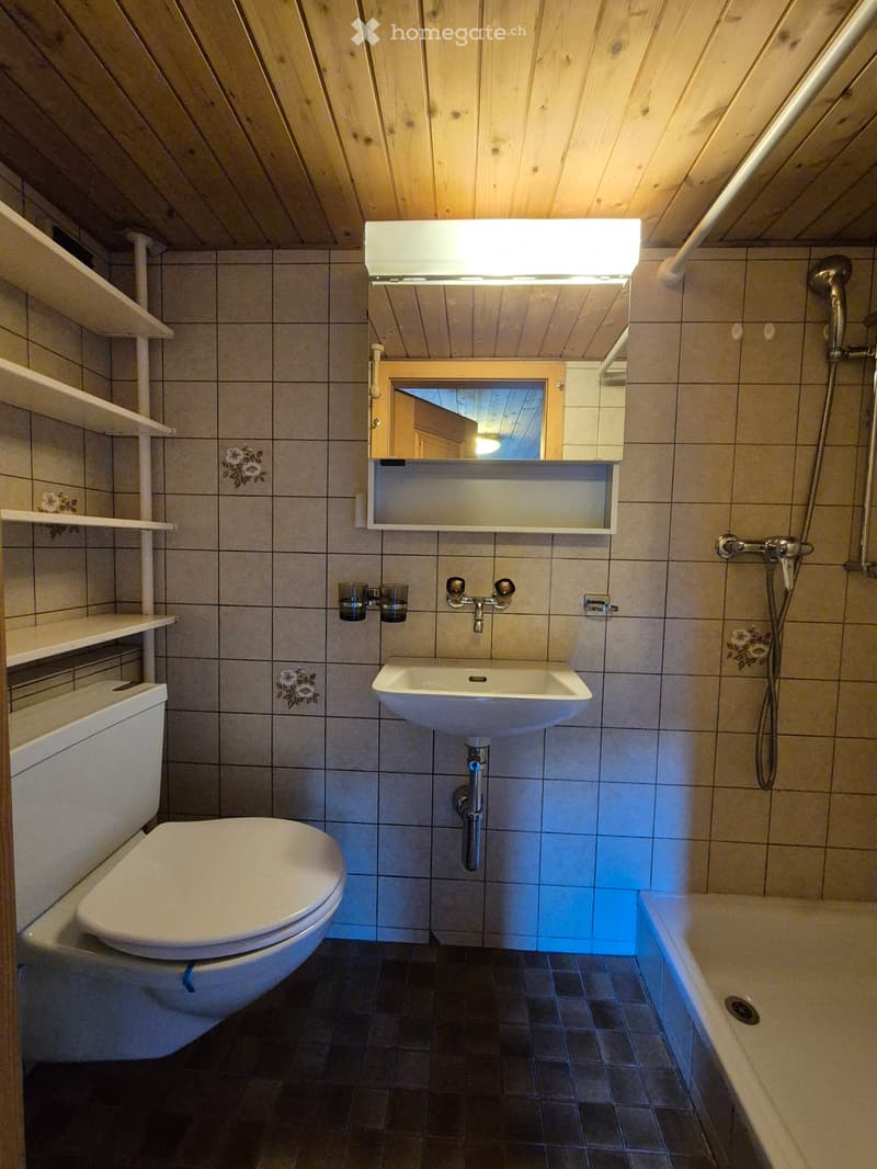 1.5 zimmer Wohnung in Frutigen (5)