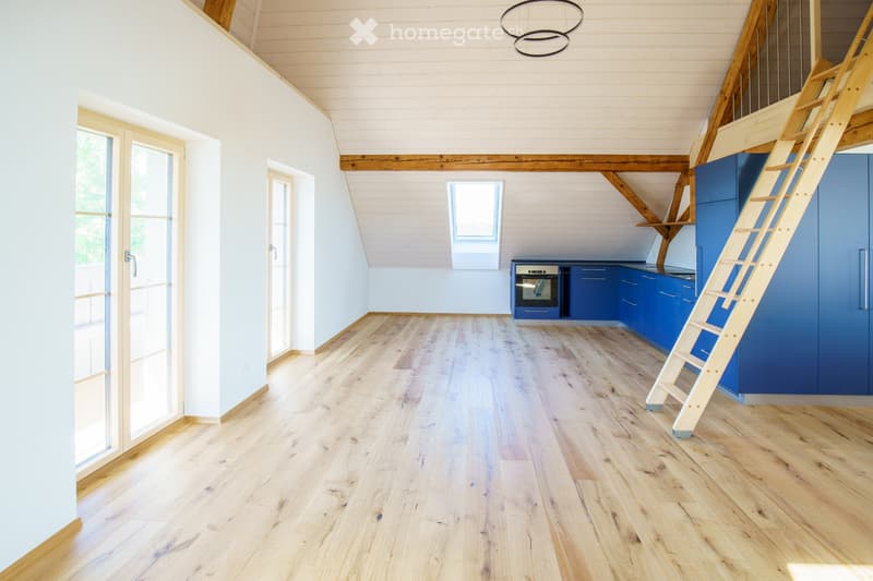 Schöne helle Dachwohnung zu vermieten (3)