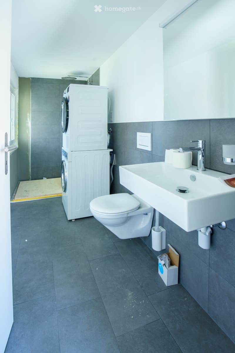 Schöne helle Dachwohnung zu vermieten (5)