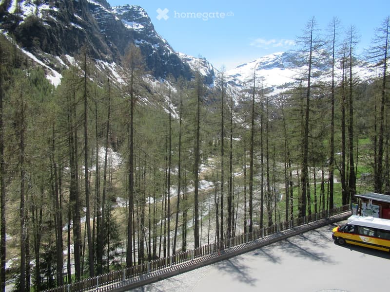 Vendesi duplex 3 locali - Bosco Gurin (5)