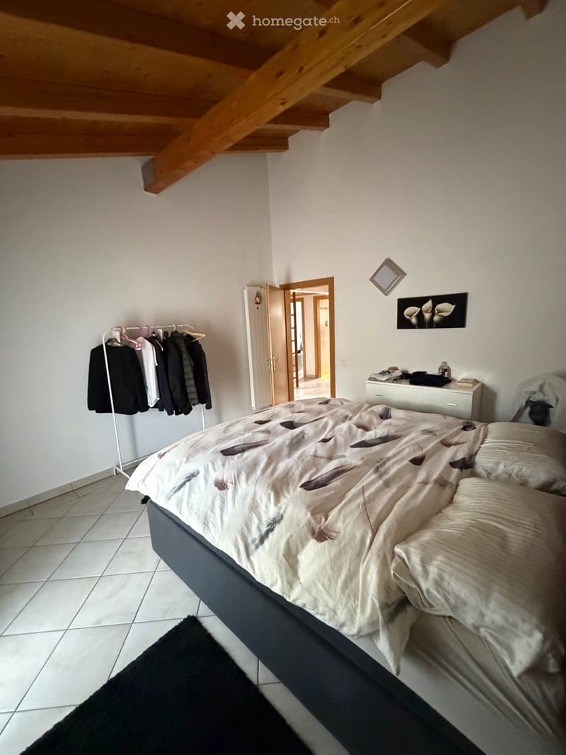 Monte Carasso - affitto (5)
