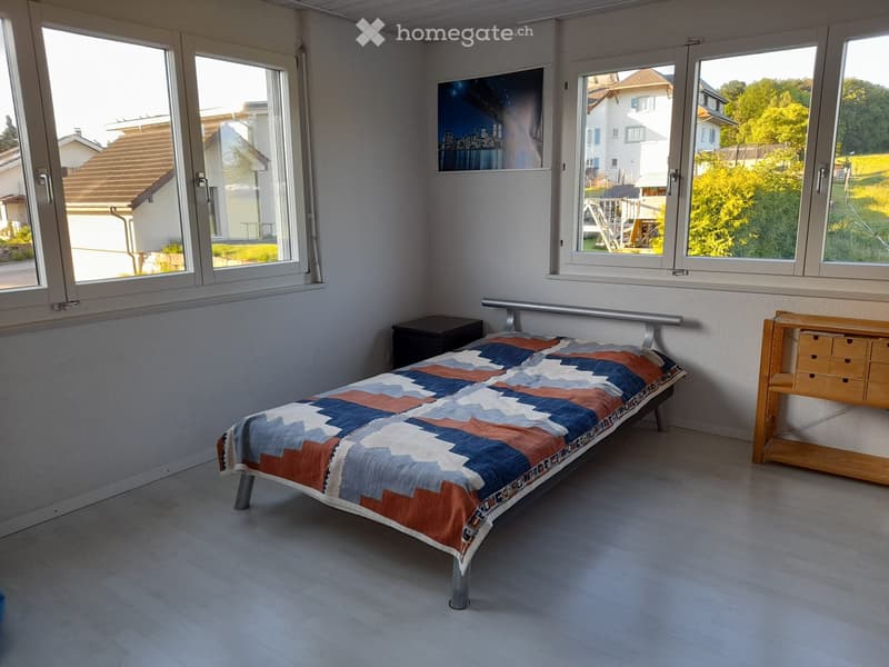 Grosszügige 4.5-Zimmerwohnung (4)