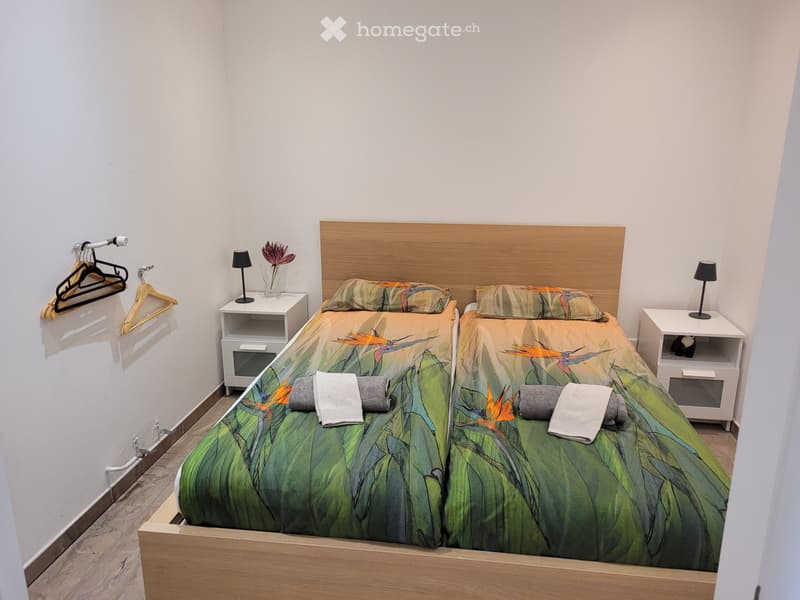 Moderne und Renovierte 2.5 Zi. Whg. mit Seesicht (5)