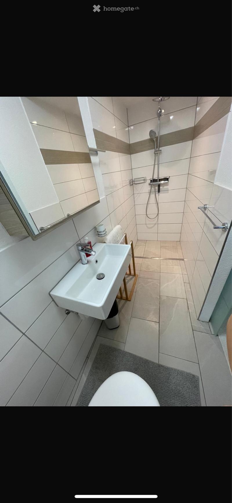 2-Zimmer-Wohnung im Herzen von Bischofszell (5)