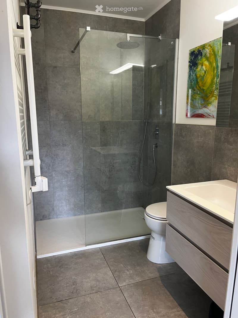 Charmantes 1,5-Zimmer-Studio  / Grazioso studio (5)