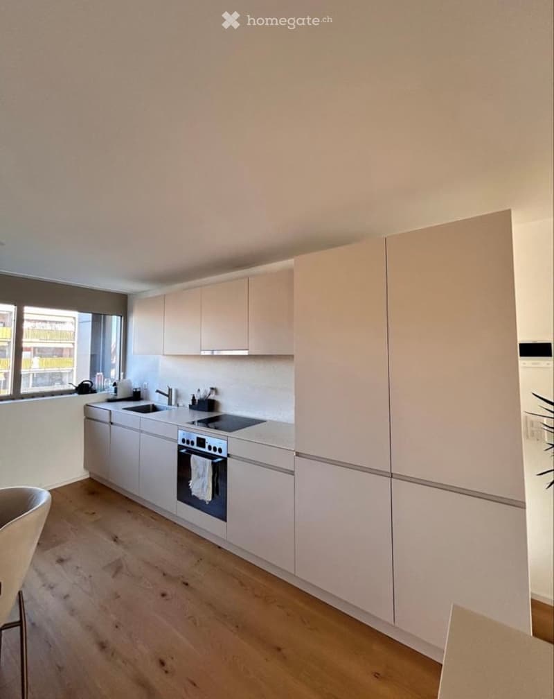 4.5 Zimmer Wohnung (3)