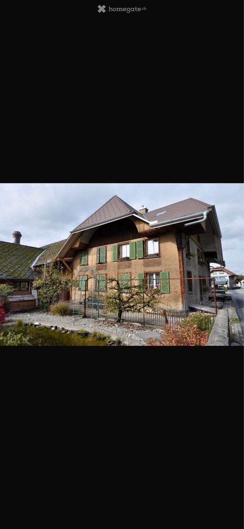 Zweifamilien-Bauernhaus (3)