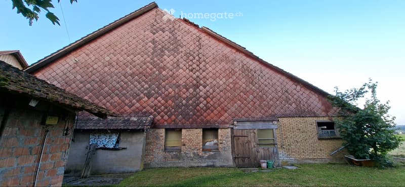 Abbruch-/Renovationsprojekt (4)