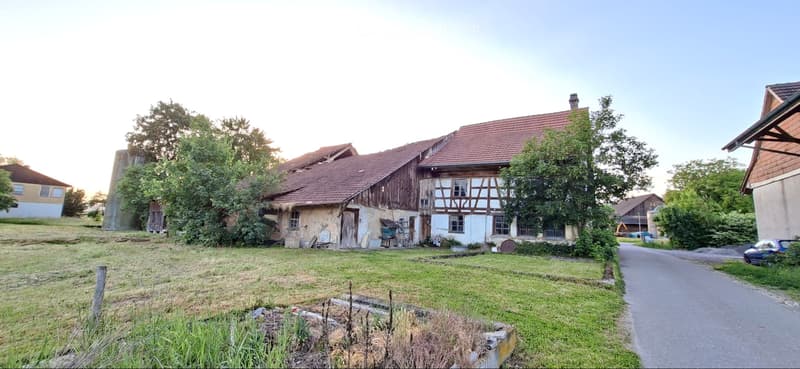 Abbruch-/Renovationsprojekt (3)